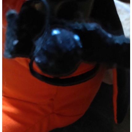 Russ 5" Bumpkin Pumpkin Stuffed Resin Bear w/ Cape Halloween Bear Decoration