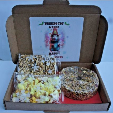 RATTY CHRISTMAS RAT GIFT BOX FILLED WITH CAKE POPCORN AND BISCUITS