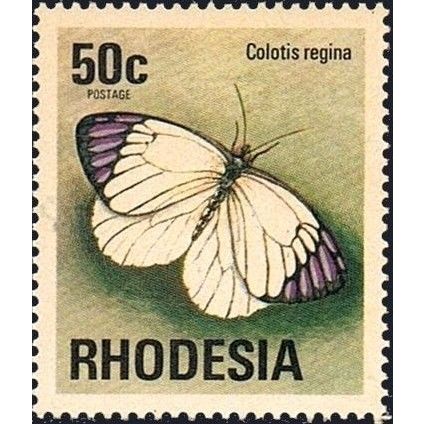 Rhodesia 1974 50c Colotis regina Unmounted Mint NHM SG 506 Sc 345 postage stamp