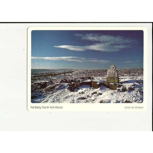 Yorkshire NORTH YORK MOORS Fat Betty Postcard by Studio Print