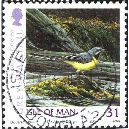 ISLE OF MAN, BIRD, Grey Wagtail, Motacilla cinerea, white 2009, 31p, #4