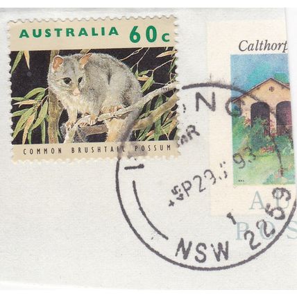 Australia 1993 Possum SG 1315 Fine Used Wyong NSW cancel on piece VGC
