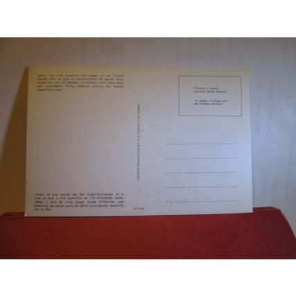 multiview, JERSEY unused postcard by A C Gallie Ltd. ACG 168 =