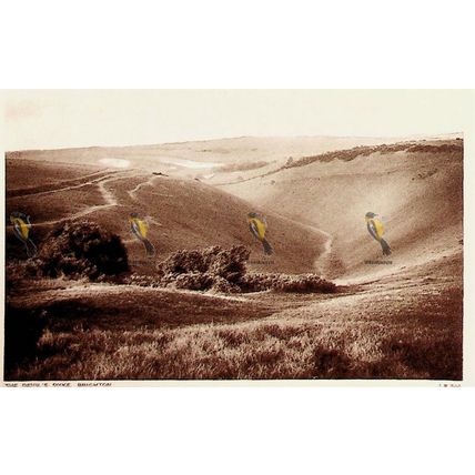 Devil's Dyke Brighton, Sussex, PL 310 Lansdowne Postcard
