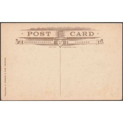 Borcovicus, from East, Northumberland, c.1905-10 - Gibson & Son Postcard