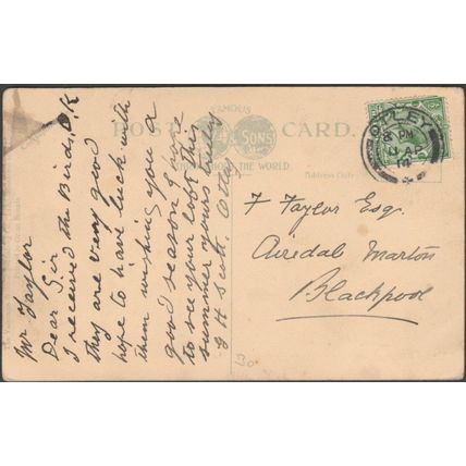 On the Shores of Lake Superior, Ontario, 1914 - Valentine's Postcard
