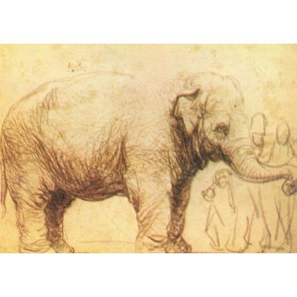 Rembrandt Van Rijn Elephant With Black Chalk 1600s Painting Postcard