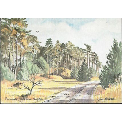 Holkham, Norfolk - Pinewoods - art postcard by Beckett, c.1980s