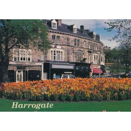 Harrogate Weatherell Antiques Shop Postcard