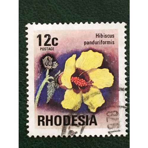 Rhodesia QEII 1976 12c Hibiscus Used SG 498 Sc 337 postage stamp wild flower