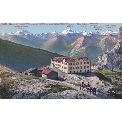 Gemmi Hotel Wildstrubel Switzerland Old Postcard