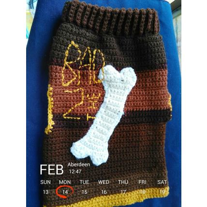 Doggie Sweater, Crochet, Brown