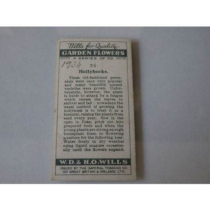 1933 Wills's Cigarettes Garden Flowers Card # 25 of 50 Hollyhocks Poor (1)