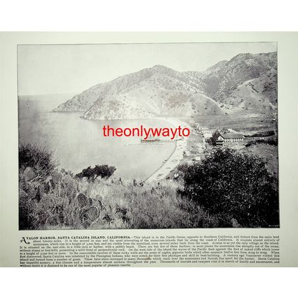 St Finn Bar's Church, Cork And Avalon Harbour, Catalina Isle, Book Illustration