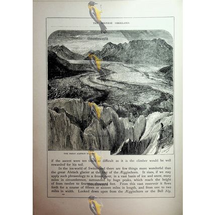 Great Aletsch Glacier, Switzerland, Book Illustration (Print), c1890