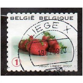 BEL 2007 (52c)(S/A) 'FRUIT- STRAWBERRIES' FINE USED (EBID10378)