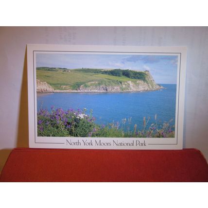 CLOUGHTON WYKE, NORTH YORK MOORS NATIONAL PARK unused postcard #