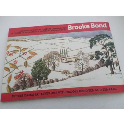 Brooke Bond - Trees In Britain - Complete Album with Picture Cards