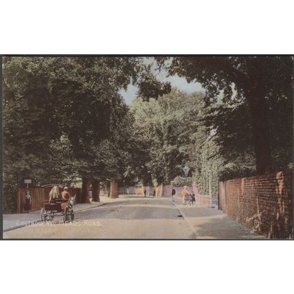 Meads Road, Eastbourne, Sussex, c.1905 - Tuck's Colotint Postcard
