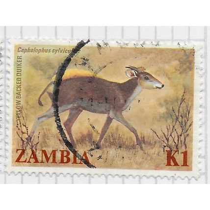 ZAMBIA 1983 YELLOW BACKED DUIKER MAMMAL SMALL ANTELOPE FAUNA K1 USED