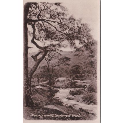 B645 BLAENAU FESTINIOG - CWMBOWYDD WOODS. R/P POSTCARD POSTCARD