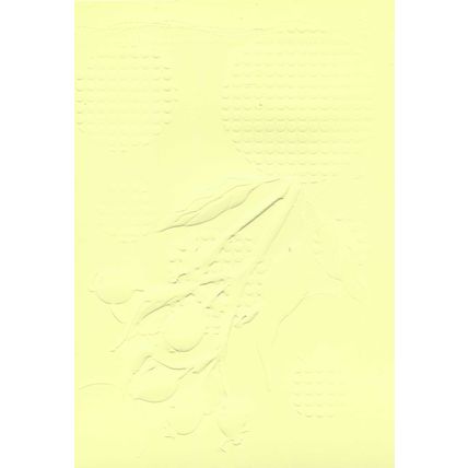 5"x7" Embossed Paper. 10 Sheets. Berries (18). Cardmaking Scrapbooking Crafts