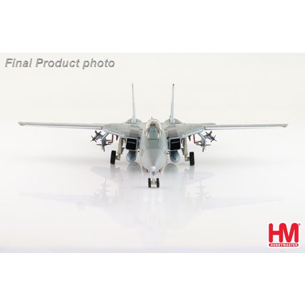GRUMMAN F-14A TOMCAT REG: 160685 US NAVY - HOBBY MASTER HA5255 1/72