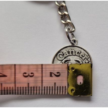 New Metal CANCER Keyring Key Chain ZODIAC CHARMS CRAB STAR SIGN