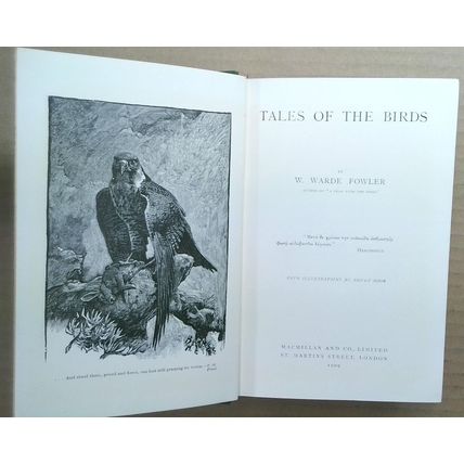 Tales Of The Birds - by W. Warde Fowler (Hardcover) 1909