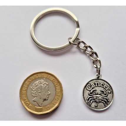 New Metal CANCER Keyring Key Chain ZODIAC CHARMS CRAB STAR SIGN