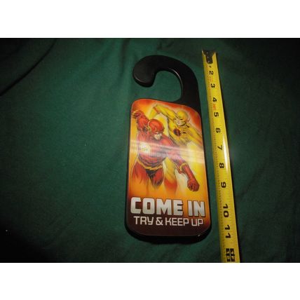 THE FLASH LENTICULAR HOLOGRAM DOOR HANG!! DC Comics! Wicked Cool! $22.00 Shipped