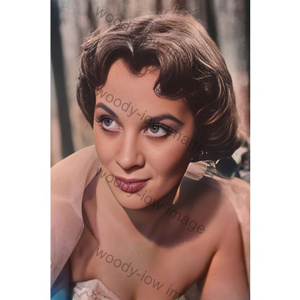 bc0049 - Film Actress - Mai Zetterling - print 6"x4"