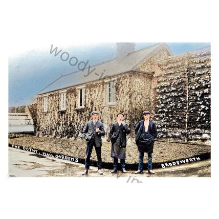 ptc6736 - Brodsworth , The Bothy Hall Gardens , Yorkshire - print 6x4