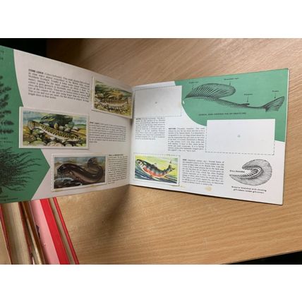 VINTAGE BROOKE BOND FRESHWATER FISH ALBUM BOOK *INCOMPLETE* (P2)