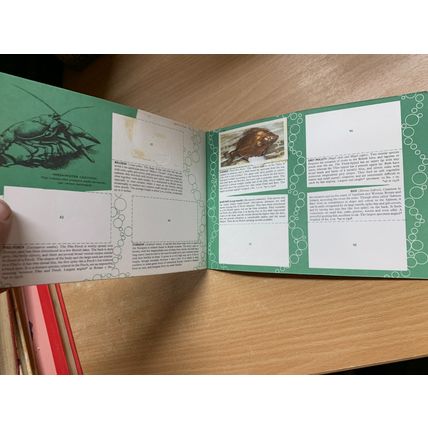 VINTAGE BROOKE BOND FRESHWATER FISH ALBUM BOOK *INCOMPLETE* (P2)