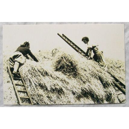 c.1980s PC Land Girls Thatching in Essex, 1940