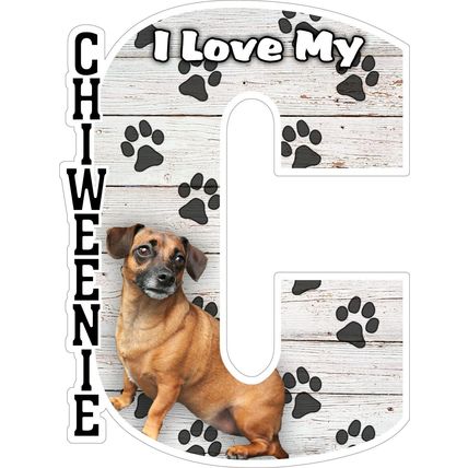 I Love My Chiweenie Fridge Magnet