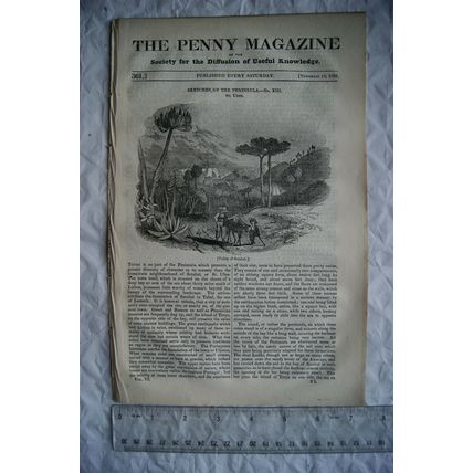 1837 The Penny Magazine No. 361 London, St Ubes, quicksilver Idria, The Shakers