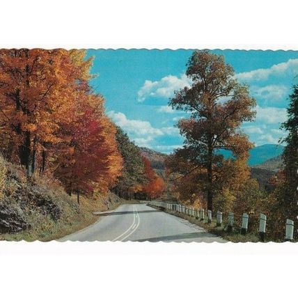 Maine Autumn Colors United States Postcard unused VGC