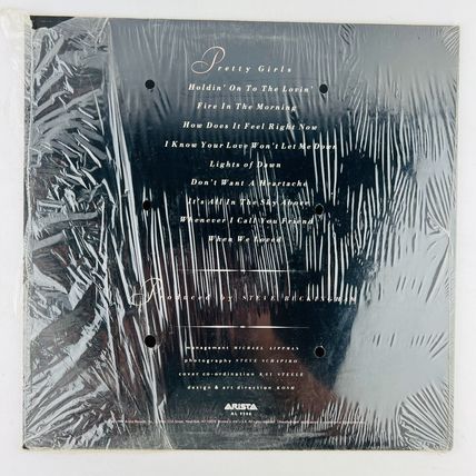 Melissa Manchester – Melissa Manchester Vinyl LP Record Album AL 9506