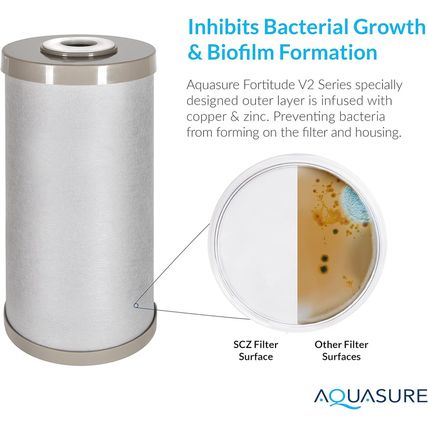 Fortitude V2 Series Sediment/Carbon/Zinc Bacteria Inhibiting Triple Purpose Repl