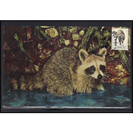 FDC Postcard 1757h 13c Racoon (No Cachet-U/A) Box0012