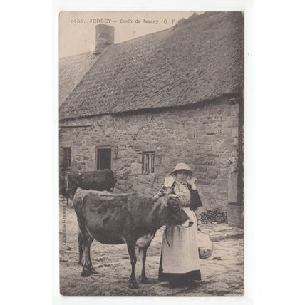 Lady & Cow Jersey Postcard Posted 1905 Local to Janet Desmares Bagot Avenue