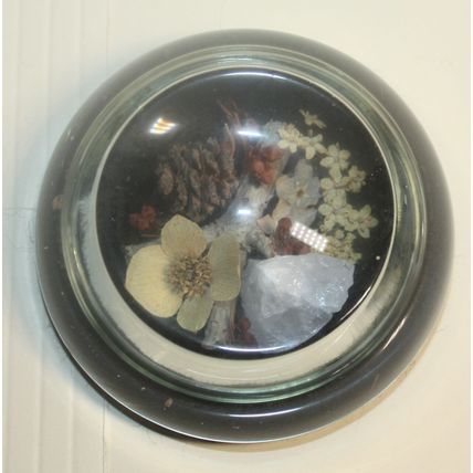 Clear Glass Dome Naturescape Paperweight