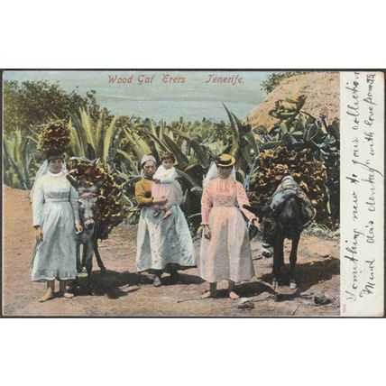 Wood Gat' 'Erers, Tenerife, 1904 - Tarjeta Postal