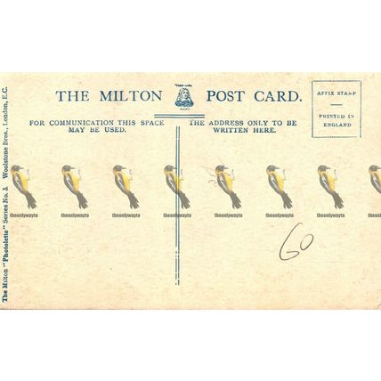 Edinburgh, Princes Street, Looking East, Milton Photolette Postcard