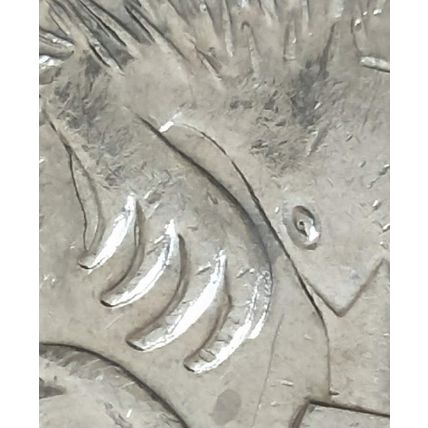 Australia 2019 5c Echidna ~ Partial Webbed Front Claw - Circulated [1a1]