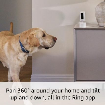 Ring Pan-Tilt Indoor Cam | See All around with 360° Pan Coverage, HD Video, plus