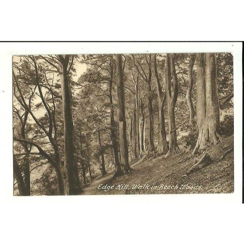 Warwickshire BIRMINGHAM Edge Hill Beech Woods Postcard by Frith (72075)