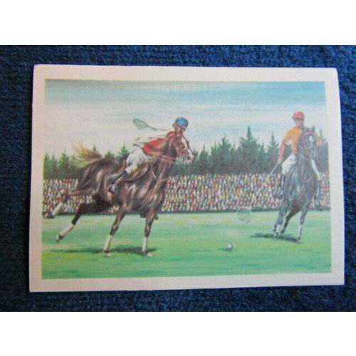 Unusual Sports 1968 ~ Jacques Chocolates Belgium Sports Sticker Variants (e9)